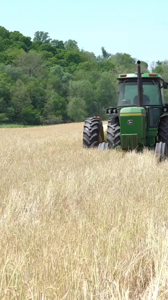 No-till planter into cereal rye